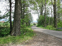 Łodygowice